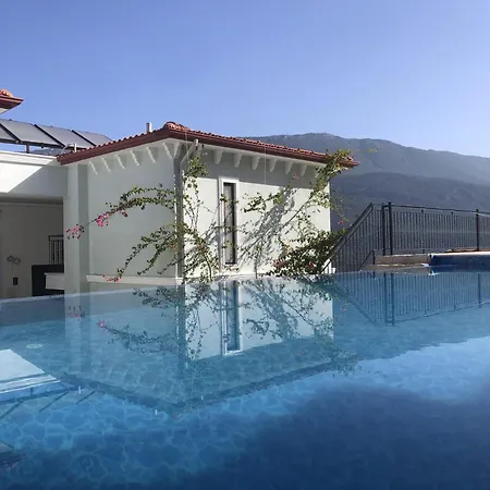 Guemues Yazar Каш